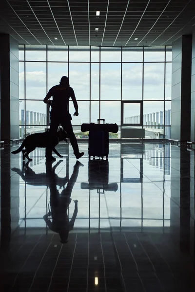 Trabalhador de segurança com cão de detecção verificando bagagem no aeroporto — Fotografia de Stock