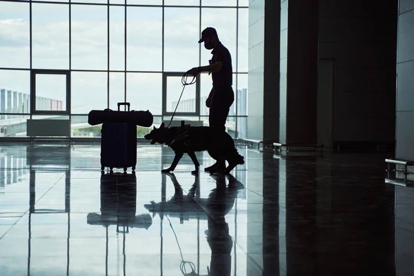 Biztonsági tiszt felderítő kutya ellenőrző poggyász a repülőtéren — Stock Fotó