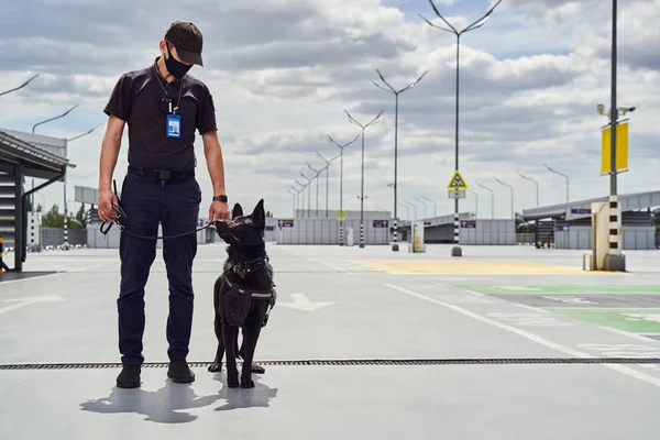 Oficial de seguridad y perro policía patrullando territorio del aeropuerto — Foto de Stock