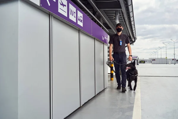 Beveiligingswerker met politiehond loopt buiten op de luchthaven — Stockfoto