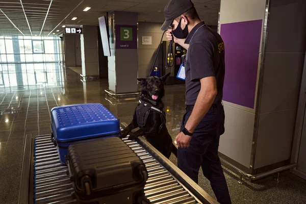 Trabalhador de segurança do aeroporto e cão de detecção verificando bagagem — Fotografia de Stock