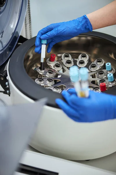 Lab worker putting a vacutainer into a fixed-angle aluminum rotor — Stock Photo, Image