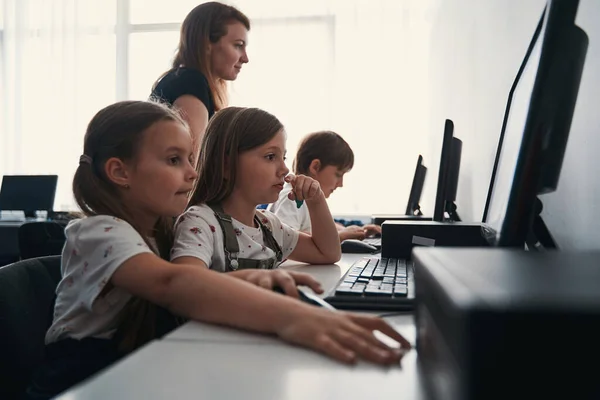 Working in pairs during computer studies lessons — Stock Photo, Image