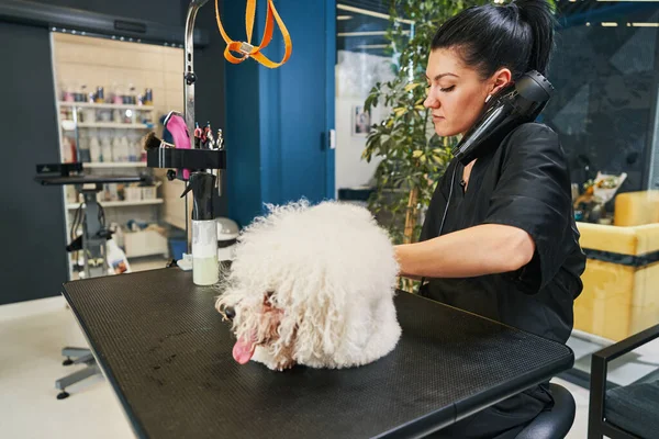 Досвідчений фахівець, що працює в салоні для догляду за домашніми тваринами — стокове фото