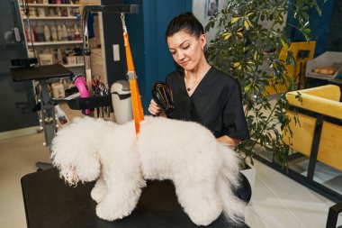 Kendine güvenen tımarcı tüm dikkatini sürece veriyor.