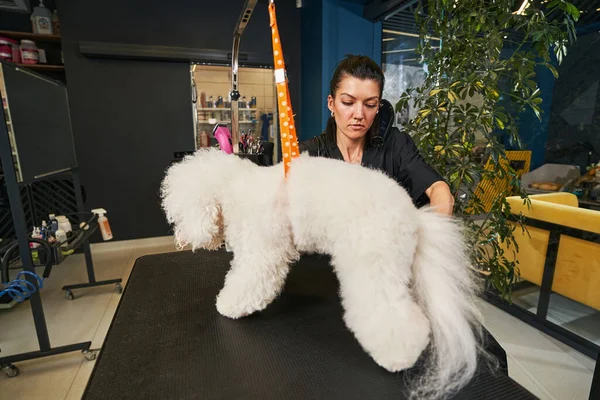 Alleen vriendelijke en geduldige mensen kunnen met dieren werken. — Stockfoto