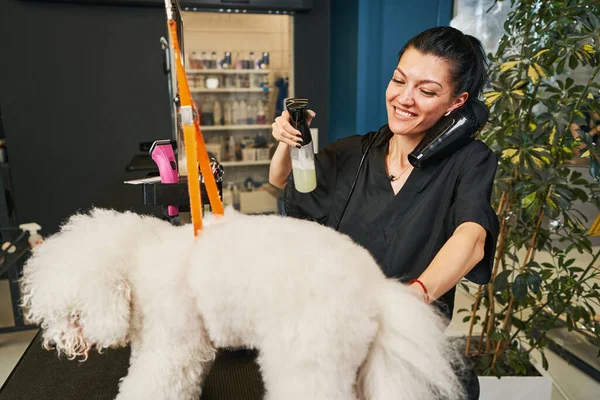 Gebruik van de beste apparatuur en cosmetische producten voor onze huisdieren — Stockfoto