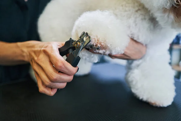 Nagel trimmen service in professionele verzorging salon — Stockfoto