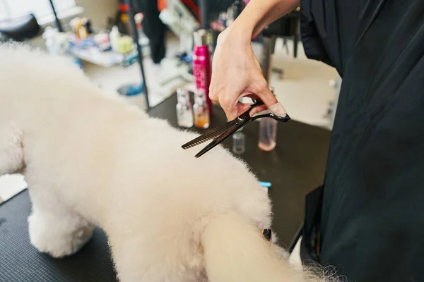 Profesjonell steller tynner ut hår etter klipping – stockfoto
