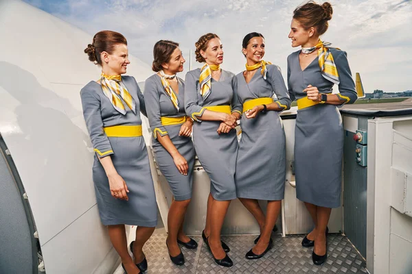 Five young elegant cheerful stewardesses chatting outdoors — Stock Photo, Image