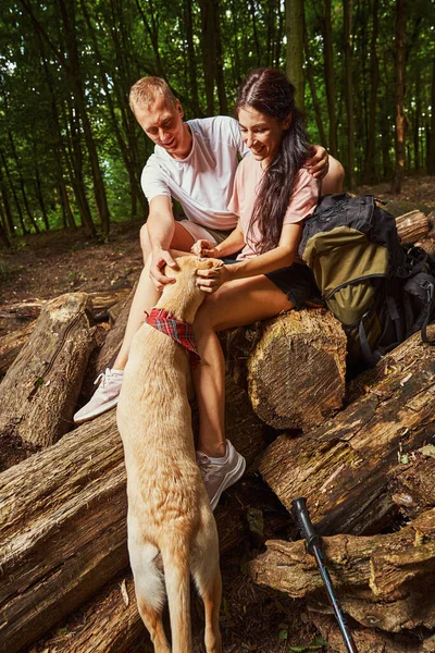 Cheerful young sporty people playing with dog in forest — Stock Photo, Image