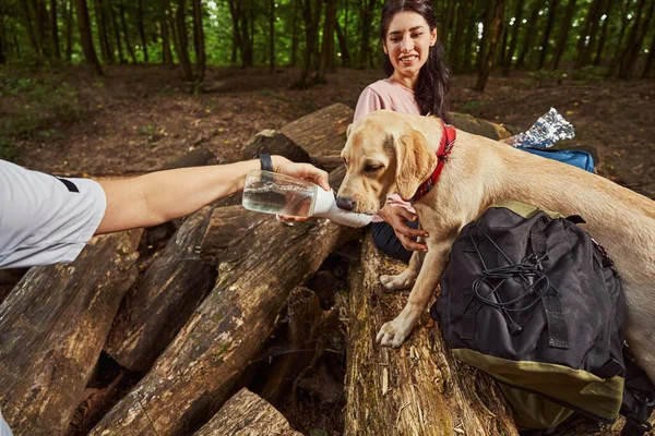 Uomo che dà acqua al cane nella foresta — Foto Stock