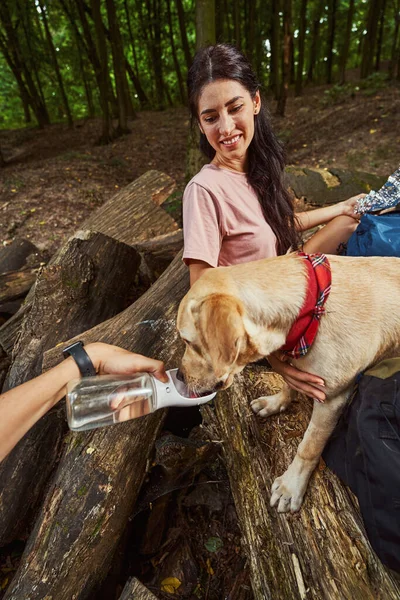 Couple heureux prenant soin du chien pendant la promenade en forêt — Photo