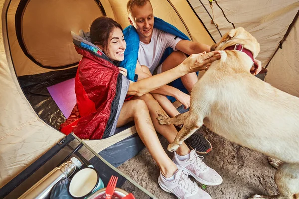 Jolly giovane coppia con cane in tenda — Foto Stock