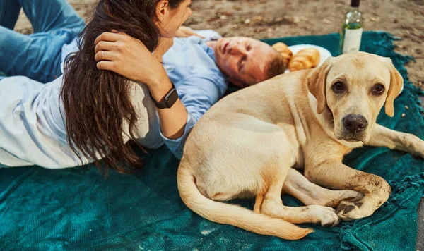 Cão bonito com casal apaixonado na natureza — Fotografia de Stock