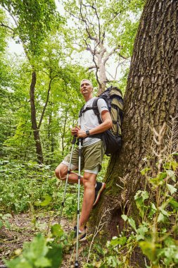 Rahat genç adam yalnız başına doğa yürüyüşü yapıyor.