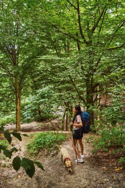 Aktif genç bir kadın köpekle yürüyüşe çıkıyor.