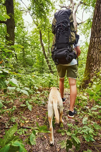 Man with backpack hiking with dog in wood — Stock Photo, Image