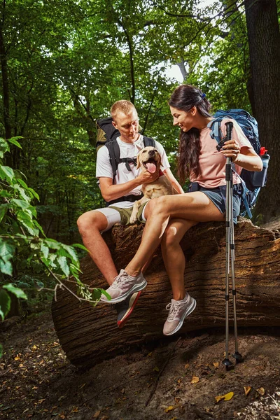 Fröhliches Paar hat Spaß mit Haustier im Wald — Stockfoto