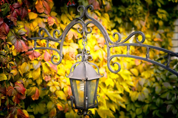 Alte Straßenlaterne Vor Einem Hintergrund Aus Herbstblättern — Stockfoto