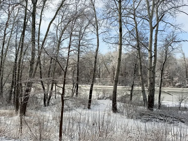 Winterlandschaft Verschneiter Wald Und Fluss — Stockfoto