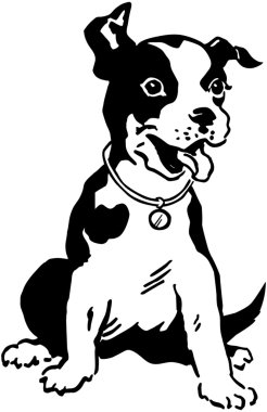 Terrier köpek