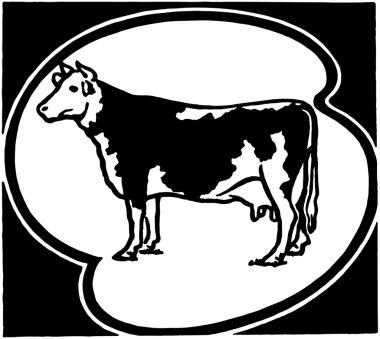 Holstein inek