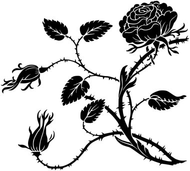 Thorny Rose clipart