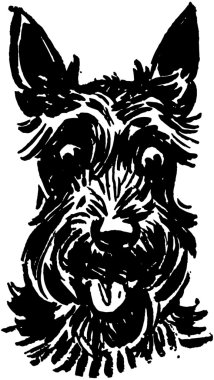 Scottie köpek