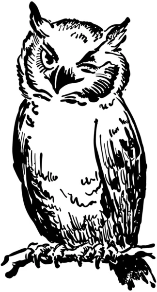 Winking Owl — Stock Vector