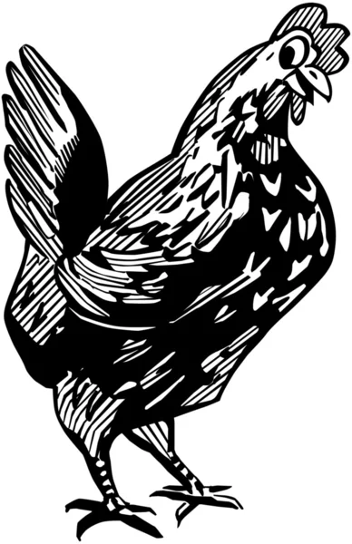 Pollo feliz — Archivo Imágenes Vectoriales