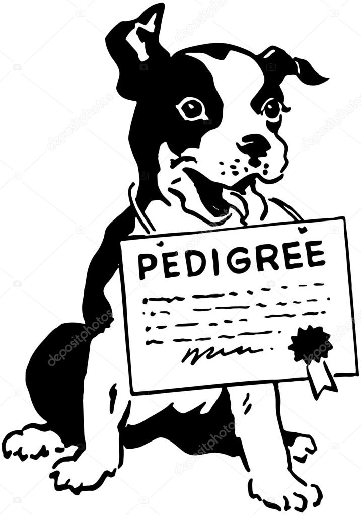 Dog With Pedigree Certificate