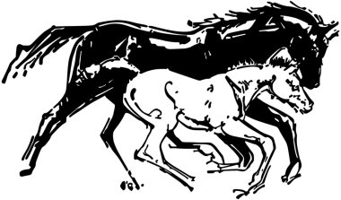 kısrak ve colt