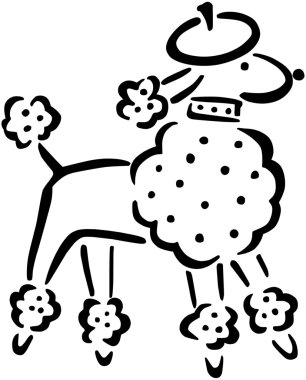 French Poodle clipart