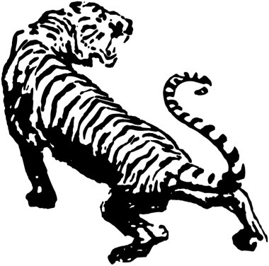 Wild Tiger clipart