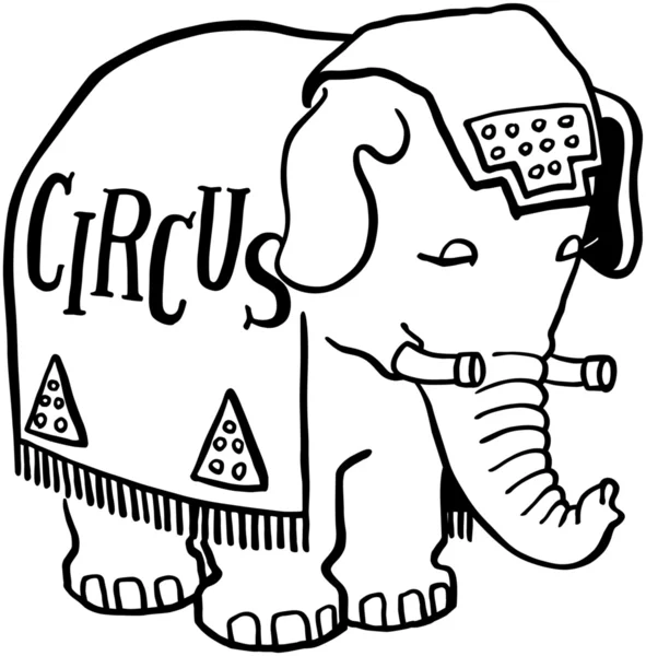 Elefante del circo — Vettoriale Stock