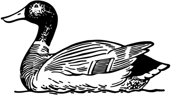 Drawing Duck — 图库矢量图片