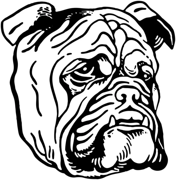 Bulldog. — Vector de stock