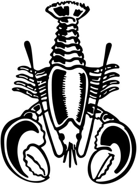 Graphique du homard — Image vectorielle