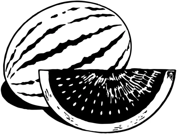 Meloun vodní — Stockový vektor