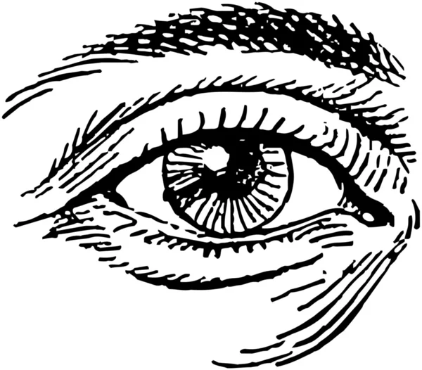 İnsan Gözü — Stok Vektör