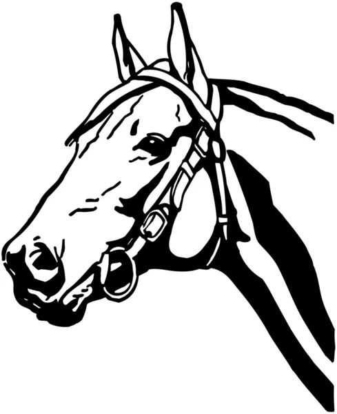 Cabeça de cavalo —  Vetores de Stock