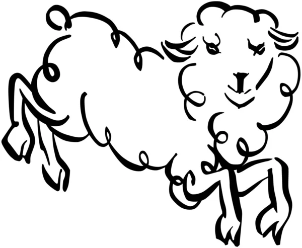 Vlněný ovce na bílém pozadí — Stockový vektor