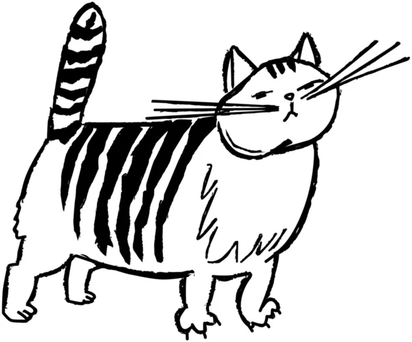 Striped Cat — Stock Vector