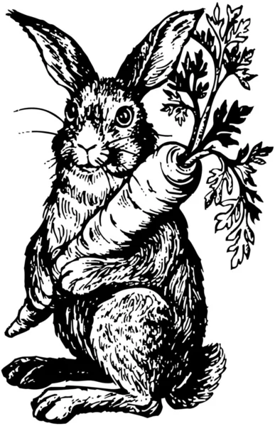 Кролик держит морковь — стоковый вектор