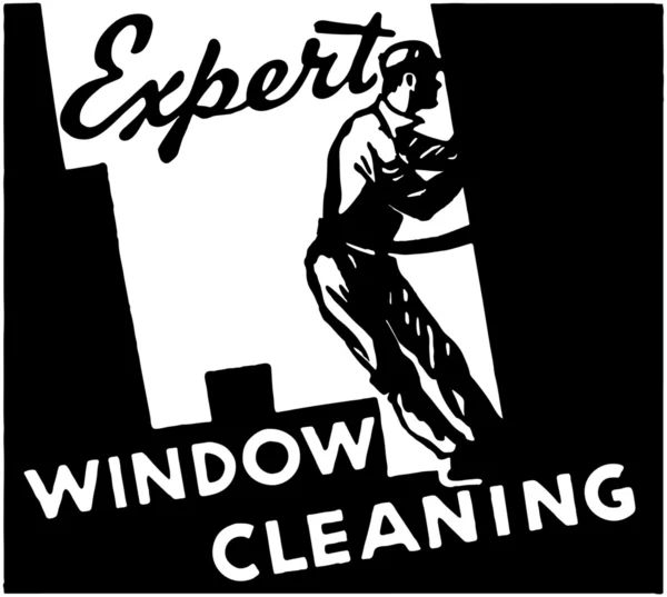 Limpieza de ventanas expertas — Archivo Imágenes Vectoriales