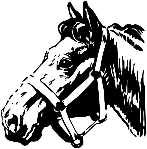 Farm Horse — Stock Vector