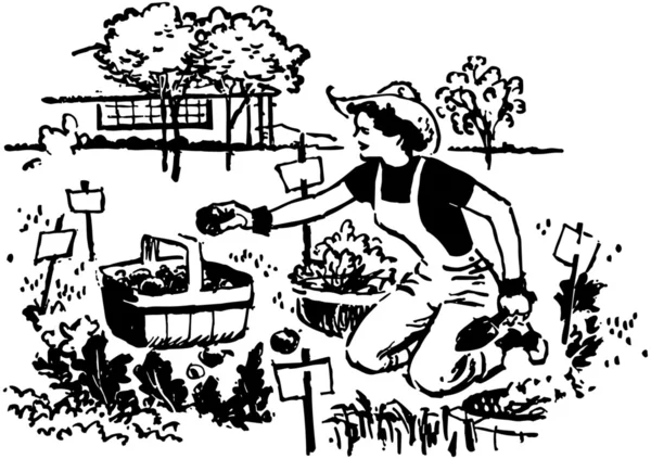 Vrouw beplanting bloemen in de tuin — Stockvector