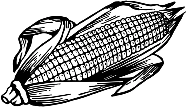 Mazorcas Vector Art Stock Images Depositphotos