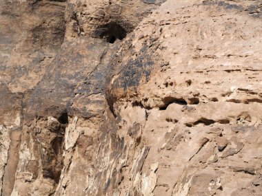 Wadi Rum, Ürdün 'de rüzgar ve kum fırtınaları tarafından oyulmuş kumtaşı yüzeyi dokusu